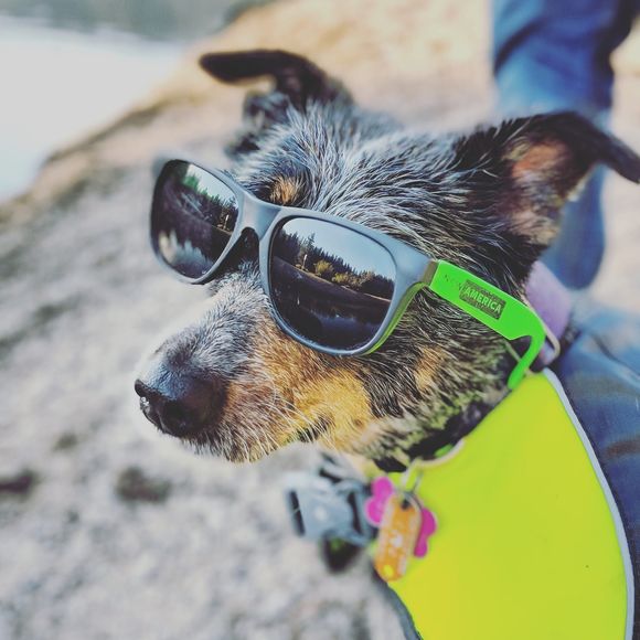 Meet your Posher, Ciara - Picture 1 of 1